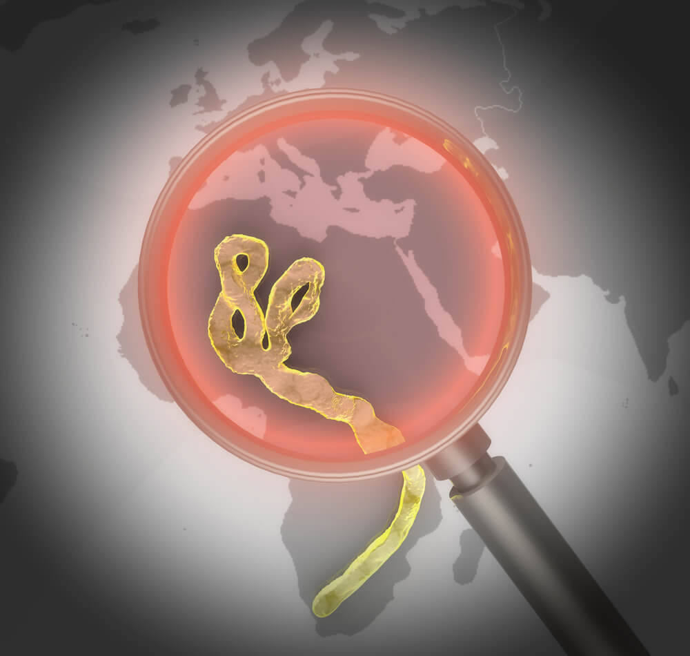 فيروس الإيبولا يضرب أفريقيا. الرسم التوضيحي: شترستوك