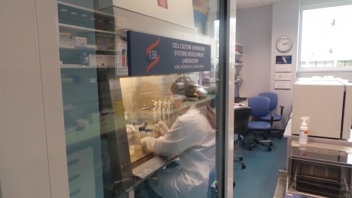 مختبر في مصنع Biotech-Pharma في فاهالانا. الصورة: آفي بيليزوفسكي