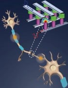 Memory is made of phase change material. Illustration: Duygu Kuzum, Stanford University.