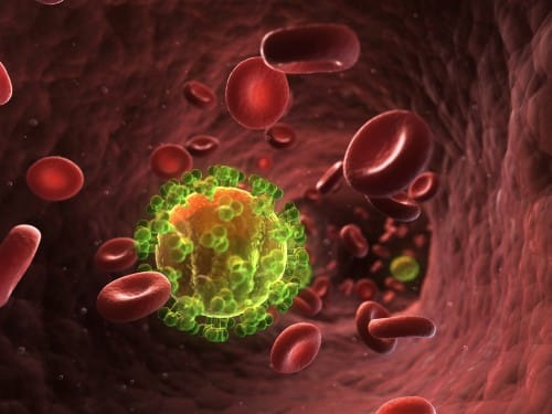 HIV in the bloodstream. XNUMXD illustration: shutterstock