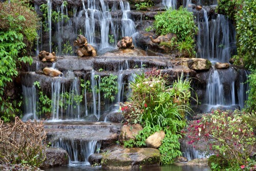 A garden with an imitation of a natural waterfall environment. Photo: shutterstock