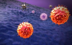 תאי T תוקפים תא סרטני נודד בגוף. איור: shutterstock