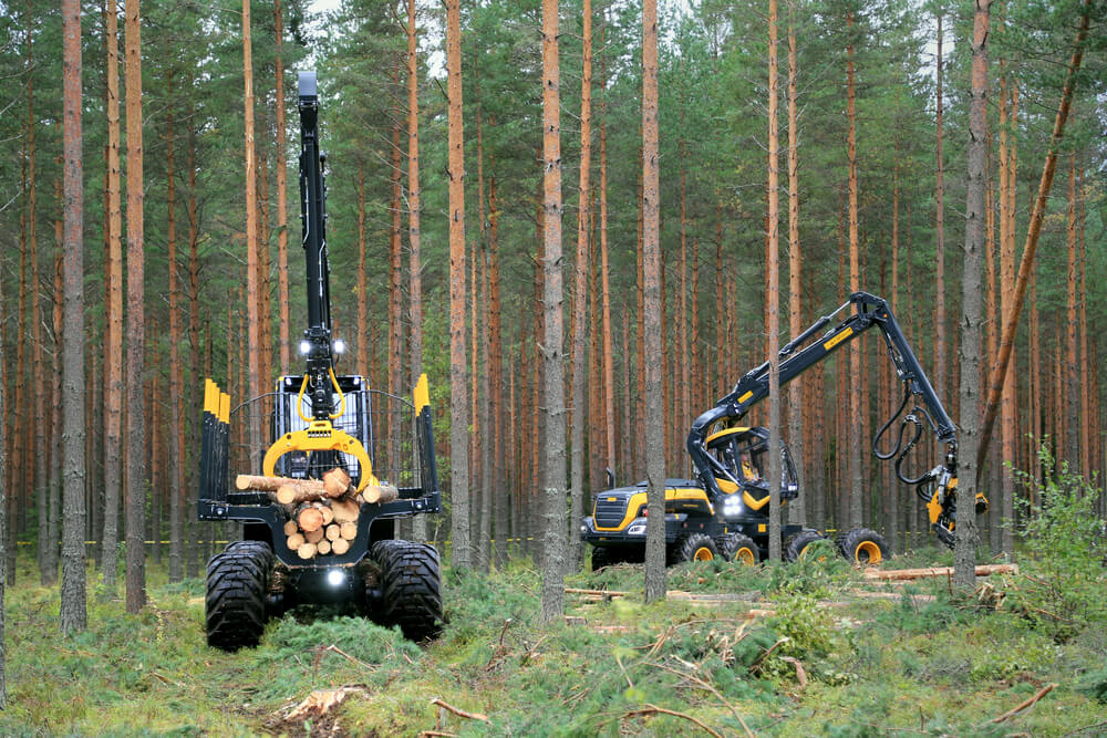 Deforestation in Finland. Photo: Taina Sohlman / Shutterstock.com