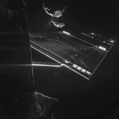 החללית רוזטה צילמה את תמונת הסלפי הזו ב-7 באוקטובר, ביחד עם מטרתה - השביט 67P צ'וריומוב-גארדימנקו מגובה של כ-10 קילומטרים. צילום:   ESA/Rosetta/Philae/CIVA