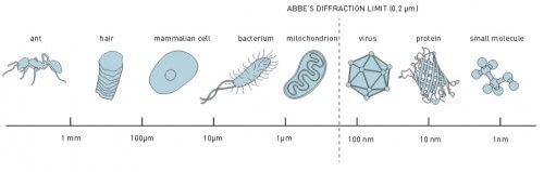 איור 1 – הגבול של אבה (0.2 מיקרונים): ניתן לראות נמלה, שערה, תא של יונק, חיידק ומיטוכונדריה; לא ניתן לראות נגיף, חלבון ומולקולות קטנות. 