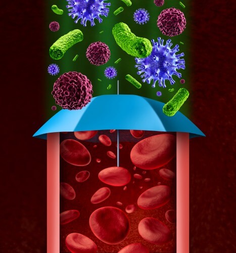 The immune system protects the body against viruses and bacteria. Illustration: shutterstock