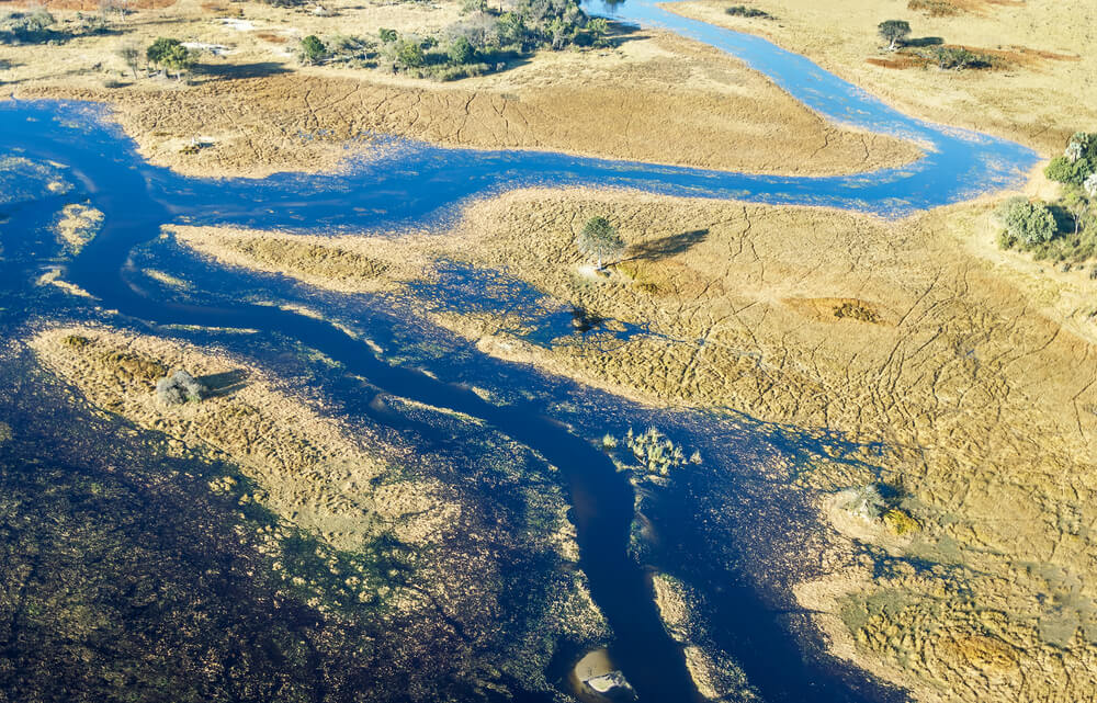 The Okavango Delta in Botswana. Photo: shutterstock