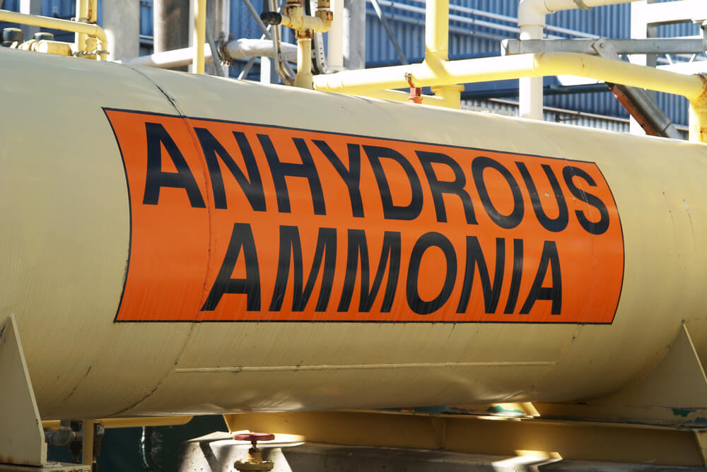 from any ammonia. Photo: shutterstock