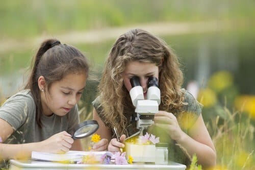 Studying science. Photo: shutterstock