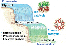 Unclean glycerol, which is usually thrown away as waste, turns into dihydroxyacetone and with the help of catalysts turns into lactic acid which is sold in the market. Illustration: ETH ZURICH