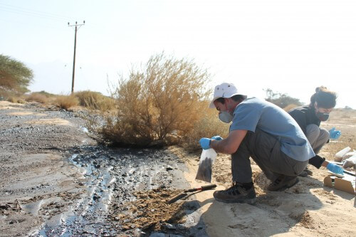 Students from the Technion break down the oil that leaked in Ein Evrona using bacteria. Photo: Technion