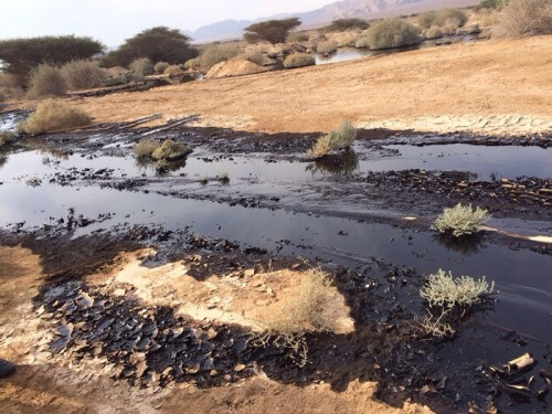 التلوث النفطي في عربة، بالقرب من كيبوتس بير أورا. الصورة: هيئة الطبيعة والحدائق
