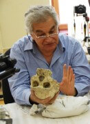 יואל רק עם גולגולת מלפני 1.8 מיליון שנה שחשף, כחלק מצוות מחקר בין-לאומי, בדמניסי שבגיאורגיה. זוהי העדות הקדומה ביותר ליציאה של הומינידים מאפריקה.