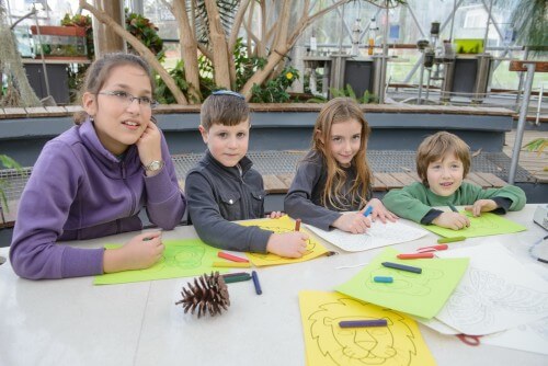 The Science Garden at the Davidson Institute. PR photo