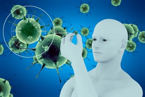 immune system. Illustration: shutterstock