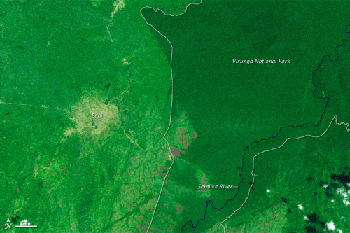 Satellite photos showing the process of deforestation in the Congo. Photo: American Geophysical Union - AGU