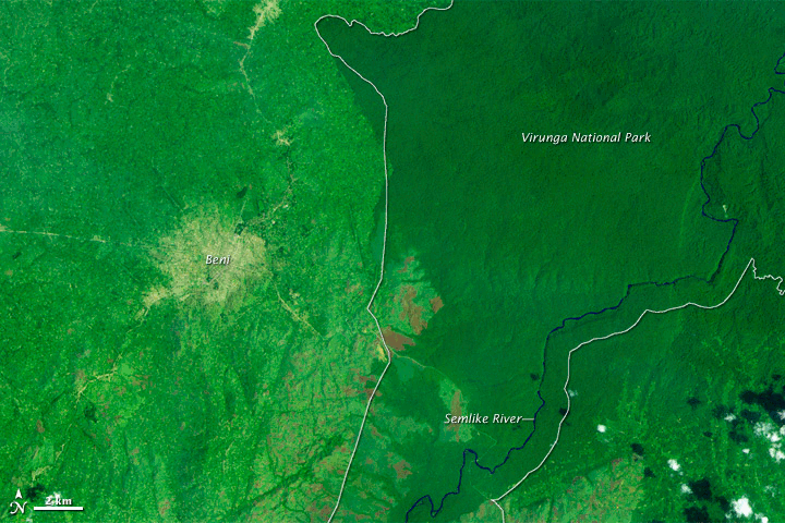 תצלומי לוויין המראים את הליך כריתת היערות בקונגו. צילום: הארגון הגיאופיזי האמריקני - AGU