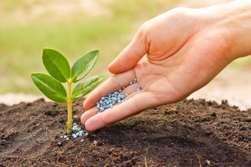 Soil fertilization. Illustration: shutterstock