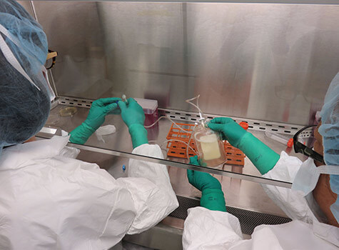 בתמונה: ד"ר ביאטריץ קארנו ומישל בייקר-הארפק באוניברסיטת וושינגטון מחדירות חיסון מותאם אישית נגד מלנומה לשקית עירוי. צילום: תום קיטצ'ן, אוניברסיטת וושינגטון