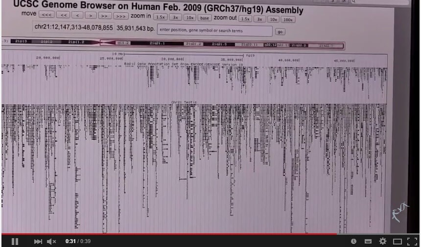 gene browser. Screenshot, University of California at Santa Cruz