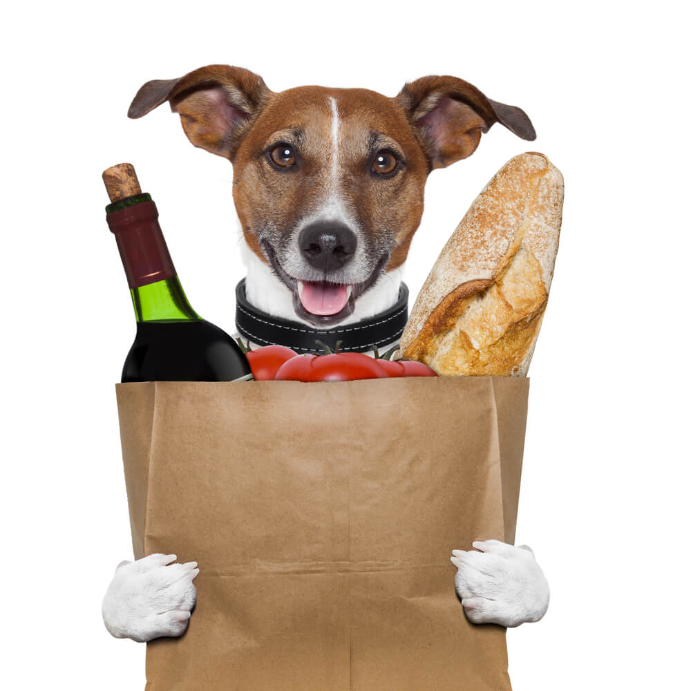 כלב מחזיק בסל מצרכי מזון. המחשה shutterstock
