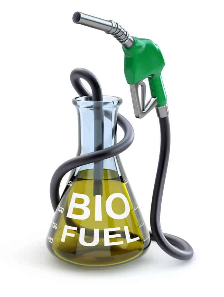 Bio fuel. Illustration: shutterstock