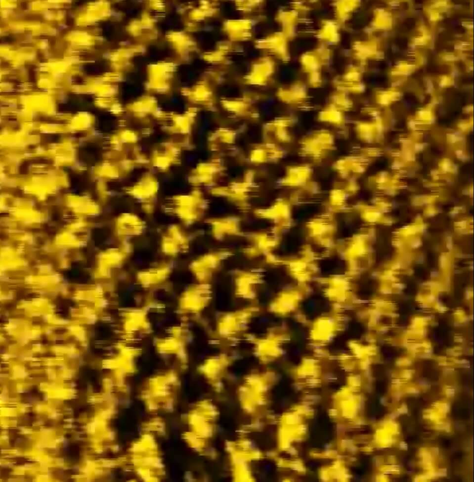 صور مجهرية وفيديو لقطب ذهبي مشحون بشحنة سالبة في سائل أيوني.