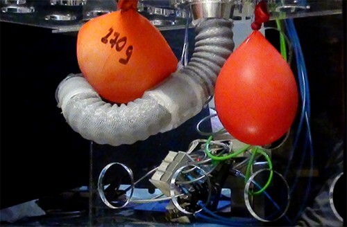 אוקטופוד, זרוע רובוטית עדינה בהשראת התמנון, צילום: Scuola Superiore Sant’anna Biorobotics Institute