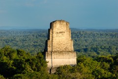 פירמידה של המאיה בלב יער גשם בגואטמלה. צילום: shutterstock
