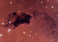 בתצלום זה של טלסקופ החלל האבל רואים קשרים כהים של גז ואבק המכונים "Bok globules" - כיסים דחוסים בעננים מולקולריים גדולים יותר. איים כאלה של חומר ביקום המוקדם היו עשויים להכיל אדי מים כפי שאנו רואים בגלקסיה שלנו כיום, למרות שהם הכילו הרב פחות חמצן. צילום: Credit: NASA, ESA, and The Hubble Heritage Team