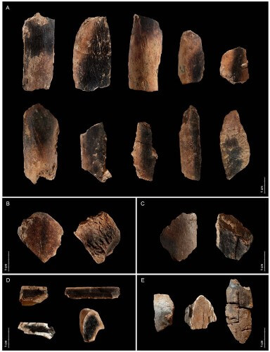 3. Burnt bones of animals from Kesem Cave indicating that they ate in the cave "on fire" regularly - credit Ruth Blasco, Spain