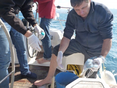 Haifa University researchers on the research ship with the invading jellyfish. Photo: Haifa University