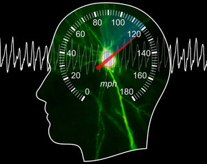 Speedometer of the brain Credit: DZNE / Falko Fuhrmann