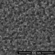תמונת מיקרוסקופ אלקטרוני ממחקר קודם המציגה את המתלולים הננומטרים המרכיבים את פני השטח של סיליקון שחור המשמש בייצור של תאים סולאריים. [באדיבות Barron Group/Rice University]