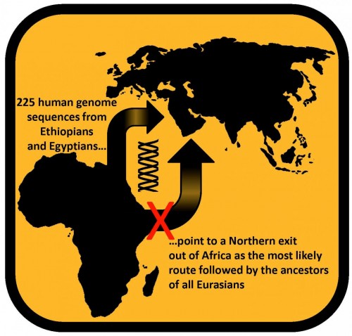 أدى تسلسل الجينوم لـ 225 إثيوبيًا ومصريًا إلى حقيقة أن الخروج من إفريقيا تم عبر مصر ومن هناك انتشر البشر إلى جميع أنحاء أوراسيا. الرسم التوضيحي: لوكا باجاني.