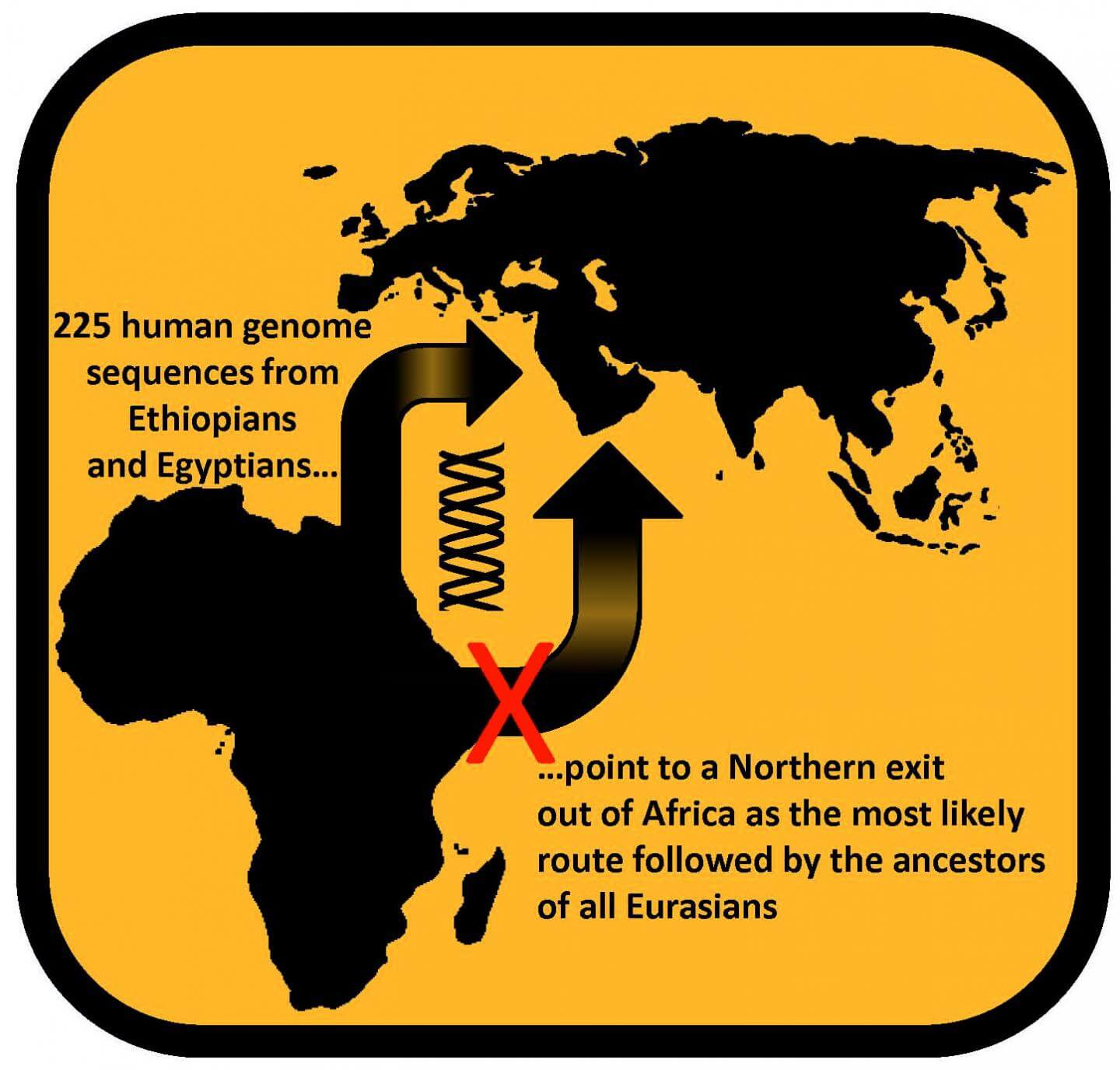 רצף גנום מ-225 אתיופים ומצרים הוביל לכך שהיציאה מאפריקה נעשתה דרך מצרים ומשם התפשטו בני האדם לכל איראסיה. איור: לוקה פגאני.