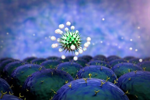 immune system. Illustration: shutterstock