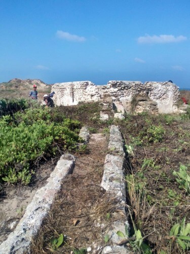 מאגר מים מהתקופה הביזנטית בפלמחים. צילום: גילי כהן באדיבות רשות העתיקות