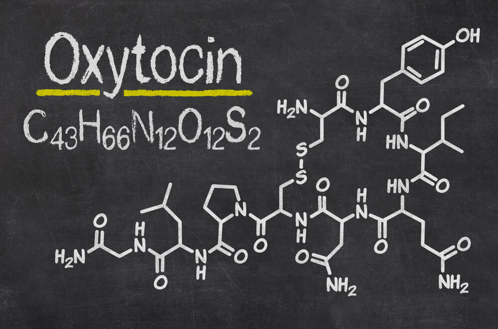 הנוסחה הכימית של "הורמון האהבה" האוקסיטוצין. צילום: shutterstock