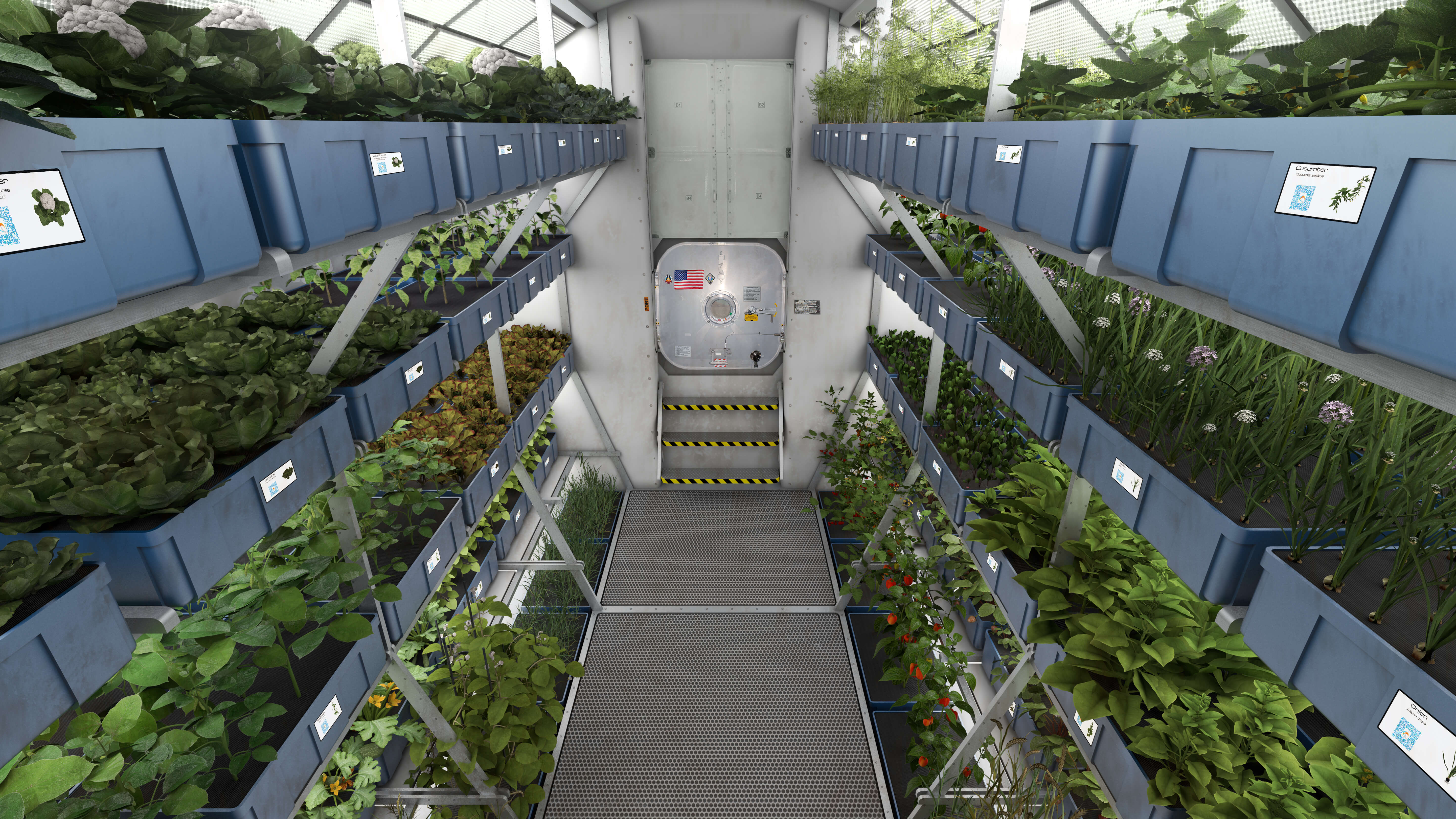 מערכת גידול הצמחים Veggie בתחנת החלל הבינלאומית. צילום: נאס"א