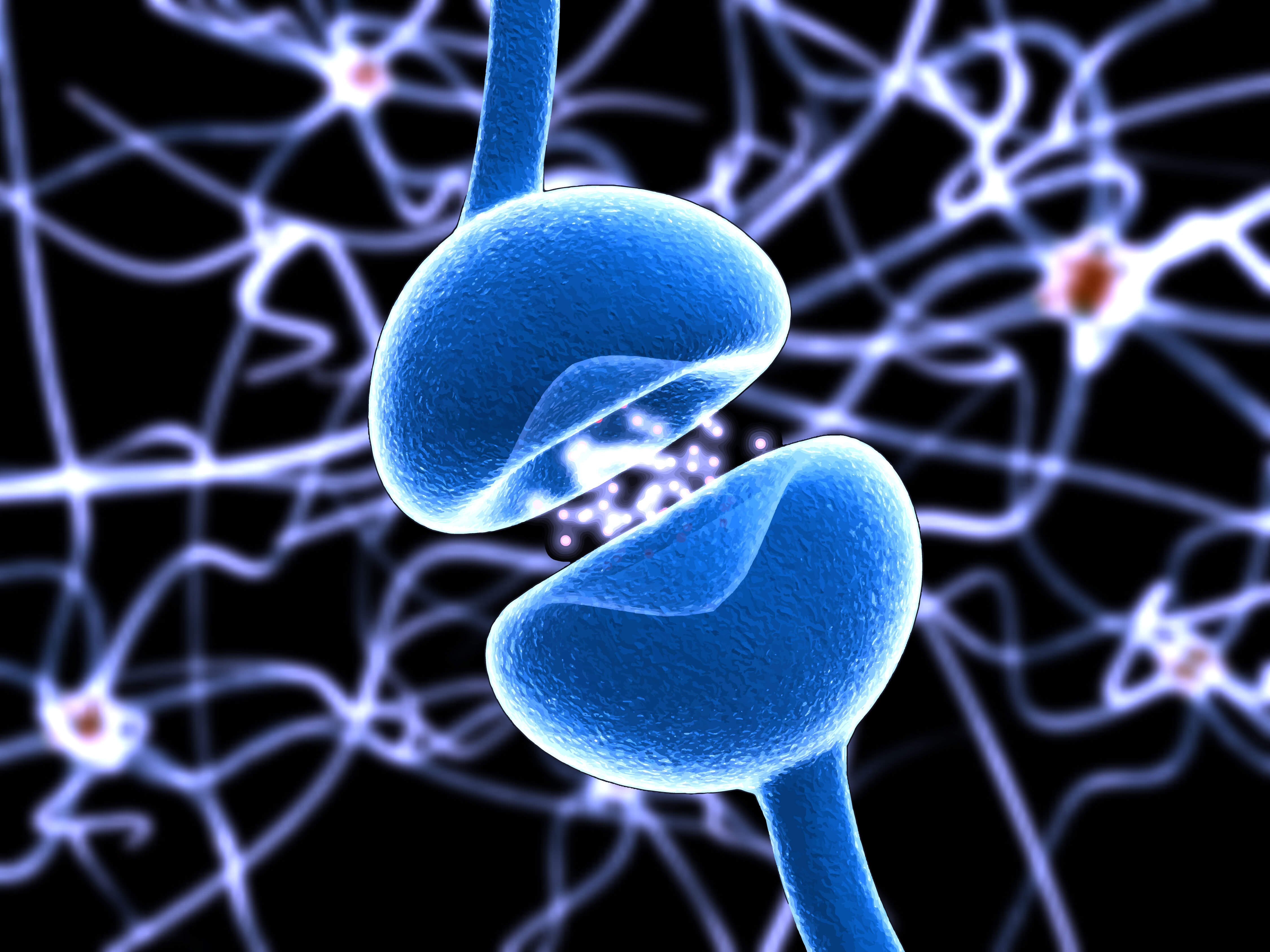 خلية عصبية نموذجية. الصورة: z0w / شترستوك