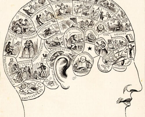 Pseudo-science - we should have known much more today. Phrenology chart from 1883. In the first half of the 19th century, phrenology was a popular study and considered scientific. In the second half of the century, the theory was largely abandoned. From Wikipedia, public domain