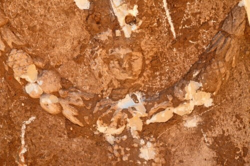 صورة ميدوسا التي على جانبي التابوت. وكان يعتقد أنه يحمي صورة المتوفى. تم اكتشاف التابوت في عسقلان، أيلول 2015. تصوير: يولي شوارتز، سلطة الآثار الإسرائيلية