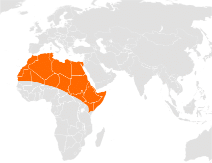 خريطة التوزيع المحدثة للذئب الذهبي الأفريقي. بواسطة: جوران تيك أون