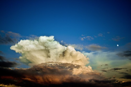 Without the protocol, a large hole would appear in the ozone above the North Pole and the ozone layer would be depleted by two times in the Northern Hemisphere. Photo: Garrett Carroll