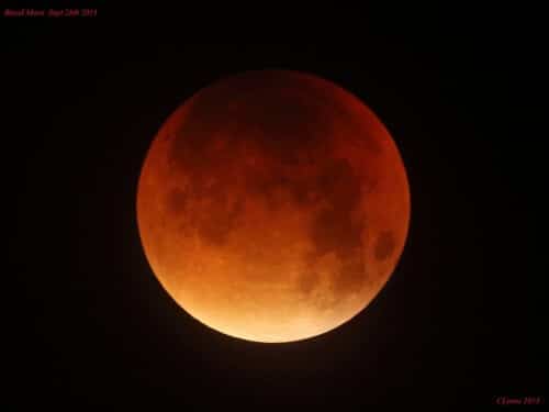 The blood moon on 28/10/15. In this image you can clearly see the Ocean of Storms (above) when it is in darkness. Photography: Chris Lyons