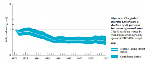 Graph 1: The decline in the size of the marine animal and plant populations between 1970 and 2010. Source WWF State of the Sea Report 2015.