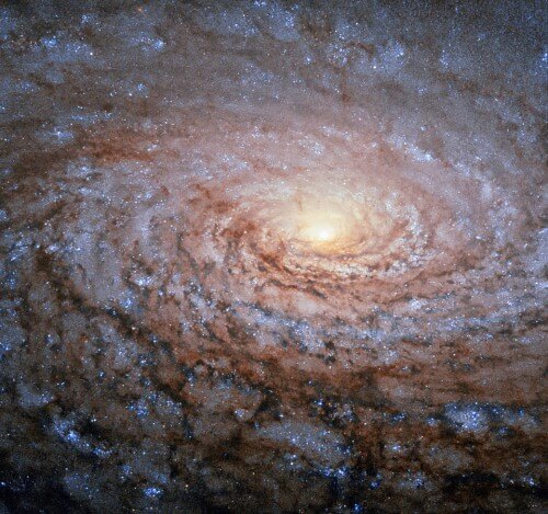 The Sunflower Galaxy - M63 as photographed by the Hubble Space Telescope. Image credit: ESA/Hubble & NASA