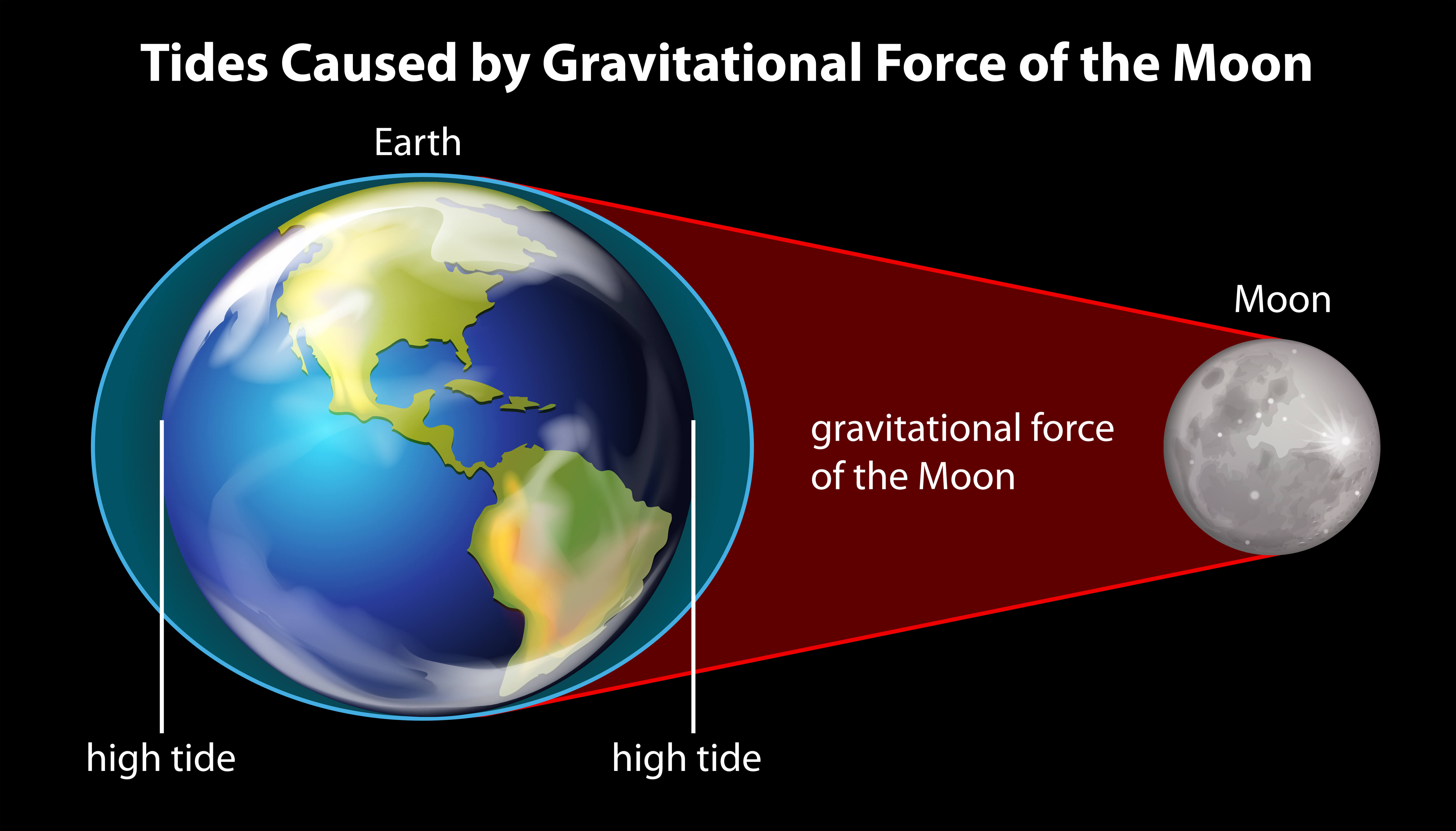 Illustrating the tide caused by the moon. Illustration: shutterstock