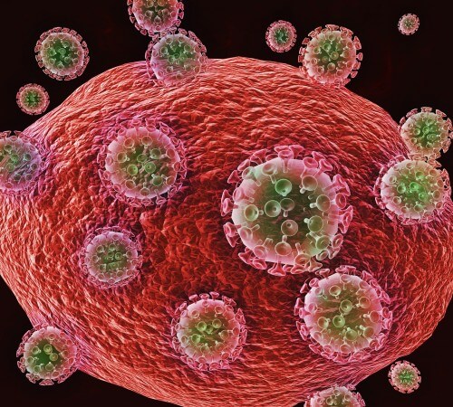 נגיפי HIV תוקפים תא. איור: shutterstock